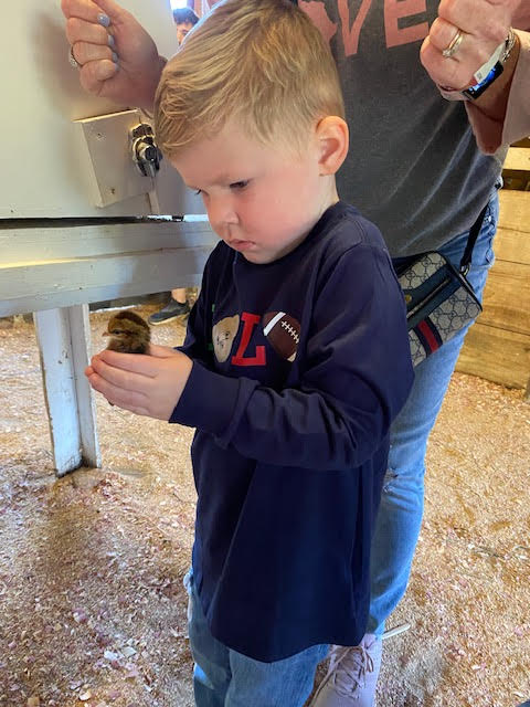 Petting Zoo