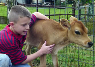 petting farm