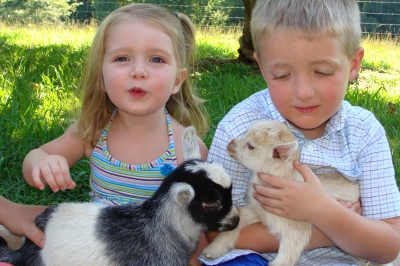 petting farm