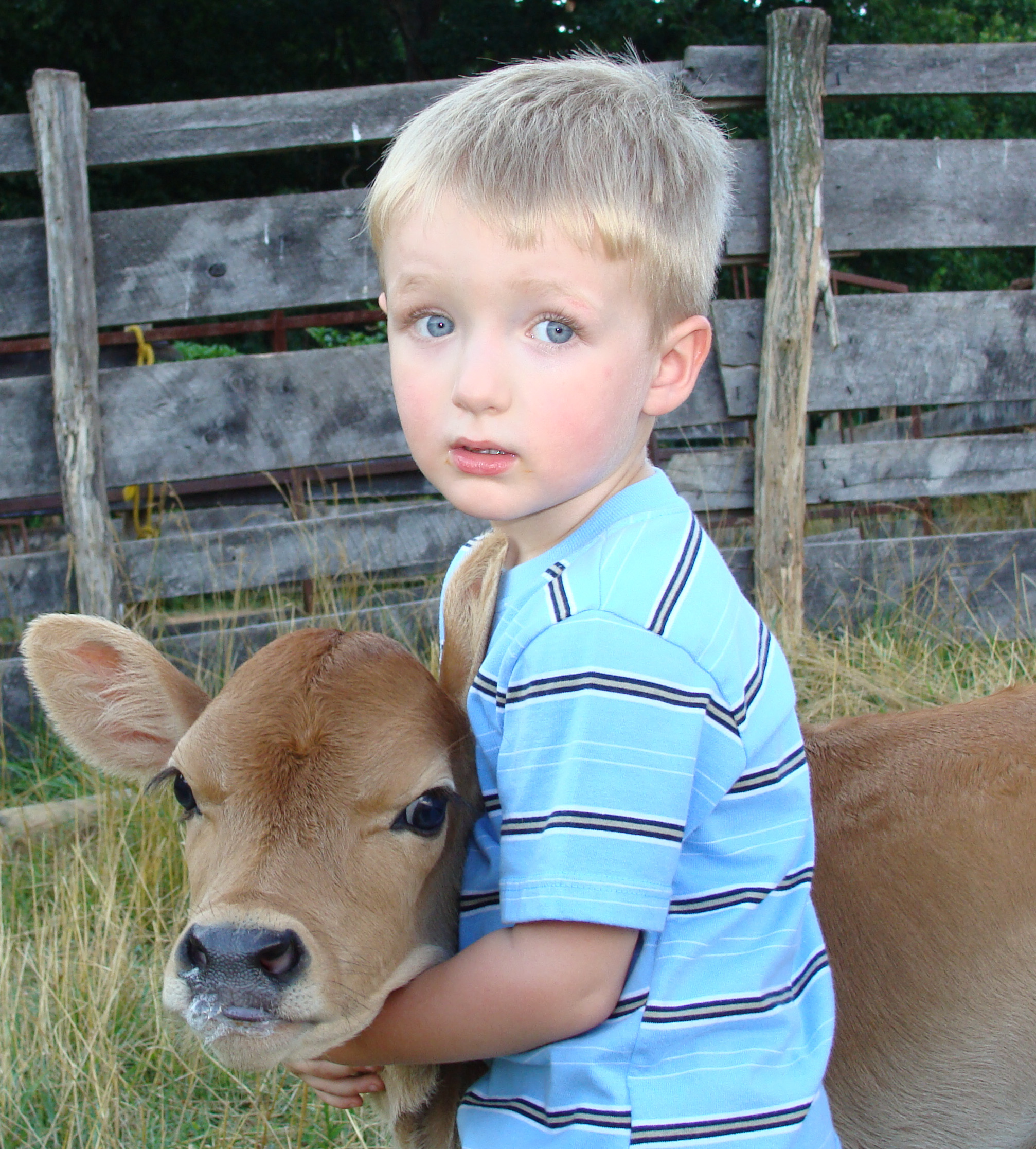 petting farm